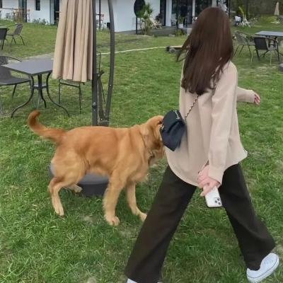 桃花一家亲第一季
